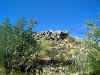 Signal Hill 2.jpg (341825 bytes)